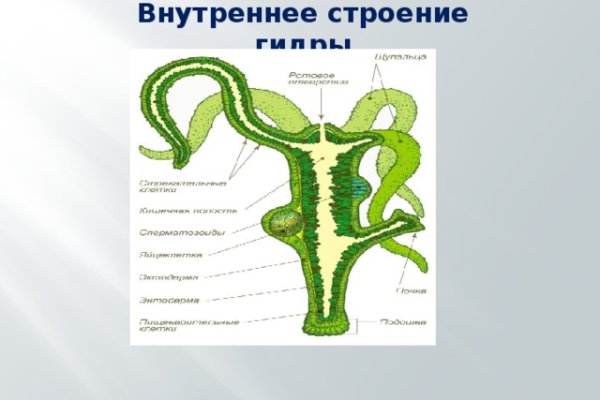 Кракен даркнет купить