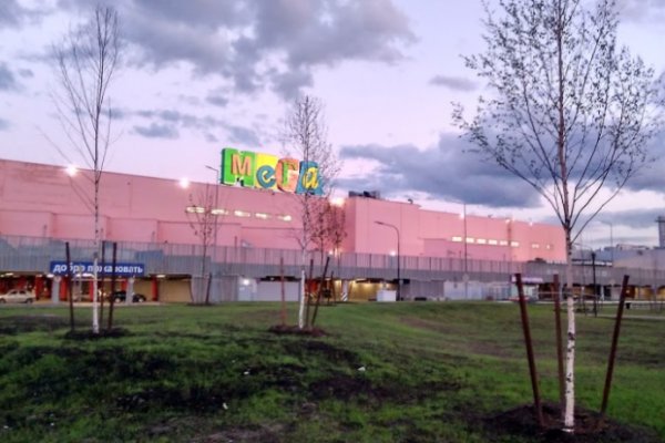Рабочее зеркало кракен