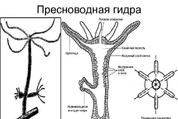 Кракен сайт kraken2