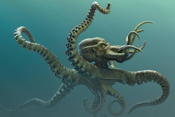 Ссылка на kraken торговая площадка